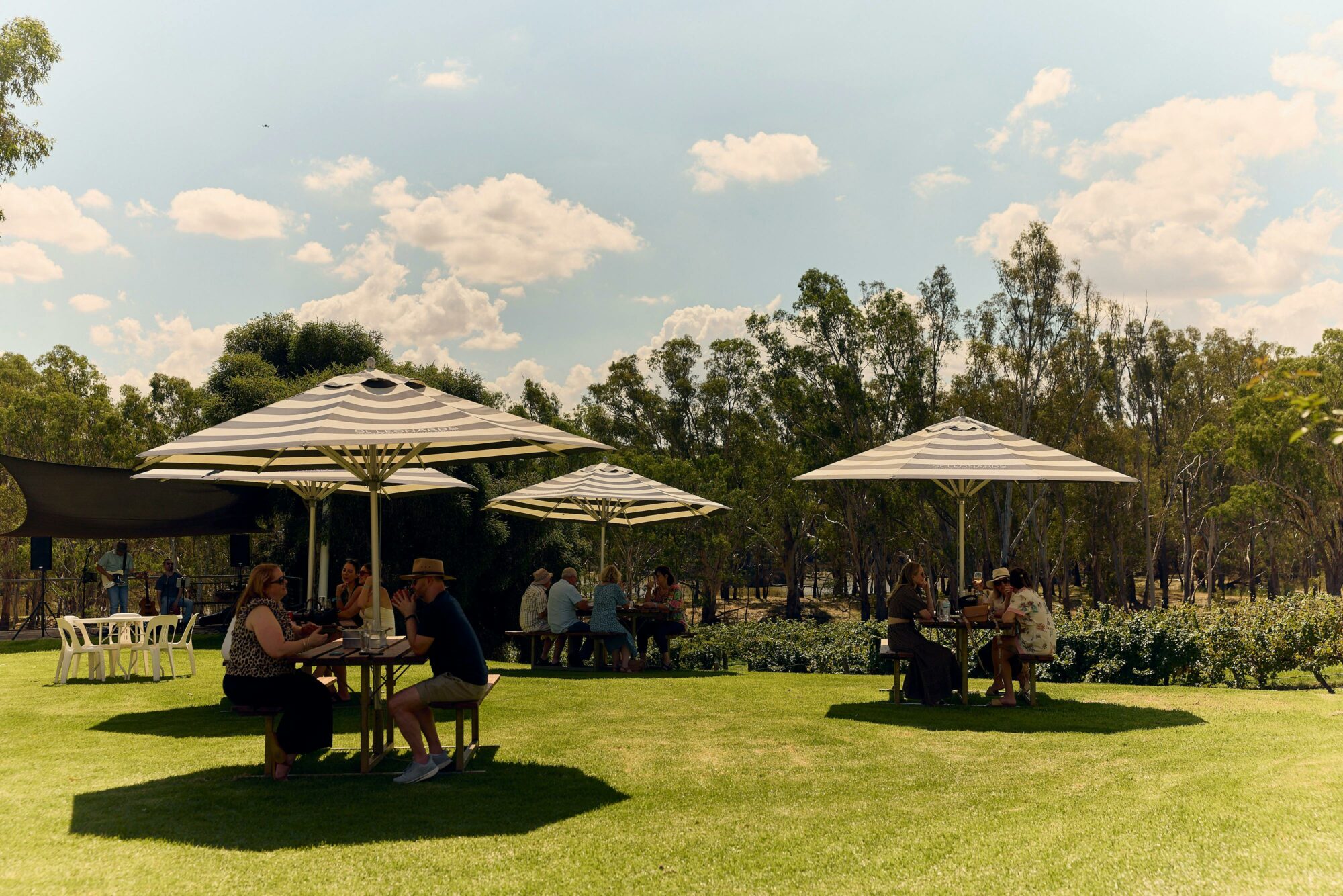 Vineyard lunch in Rutherglen