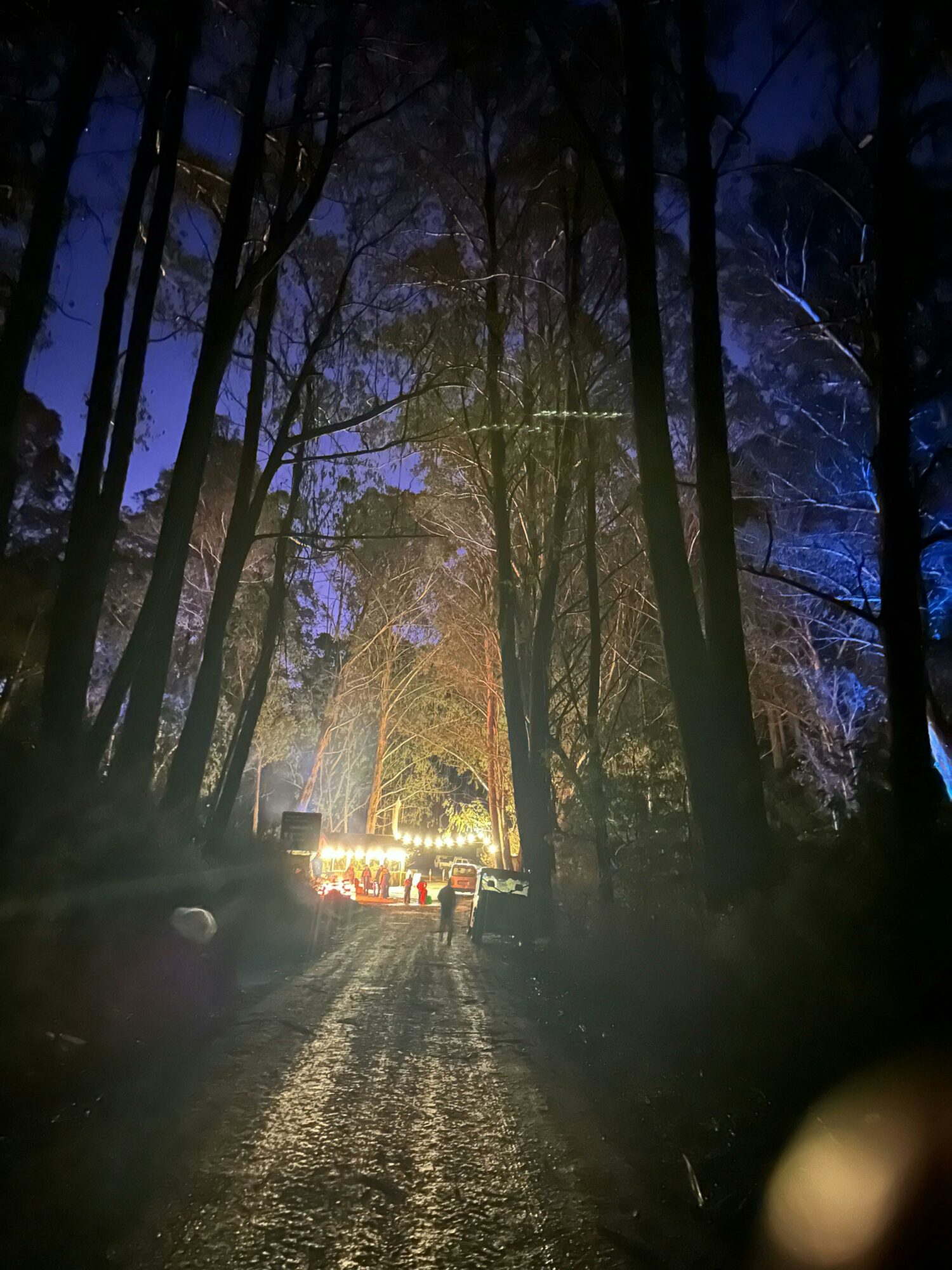 Mt Stirling Solstice