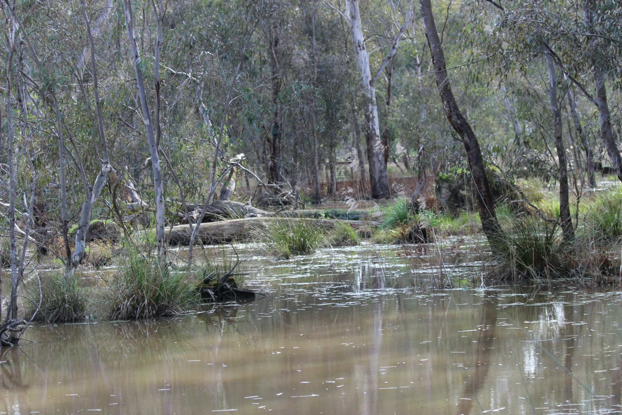 The main lagoon in the Wetlands