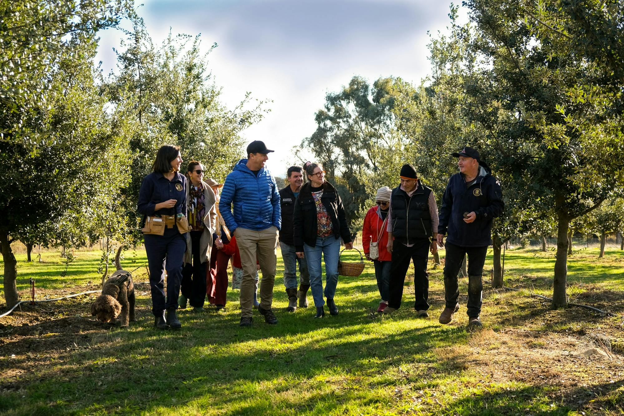 Group of people walking together through green oak trees orchard, smiling. WithTruffle dog