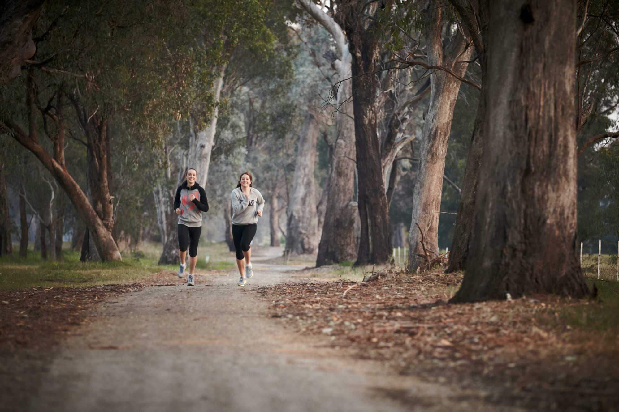 Two people running along track, trees, foggy morning.