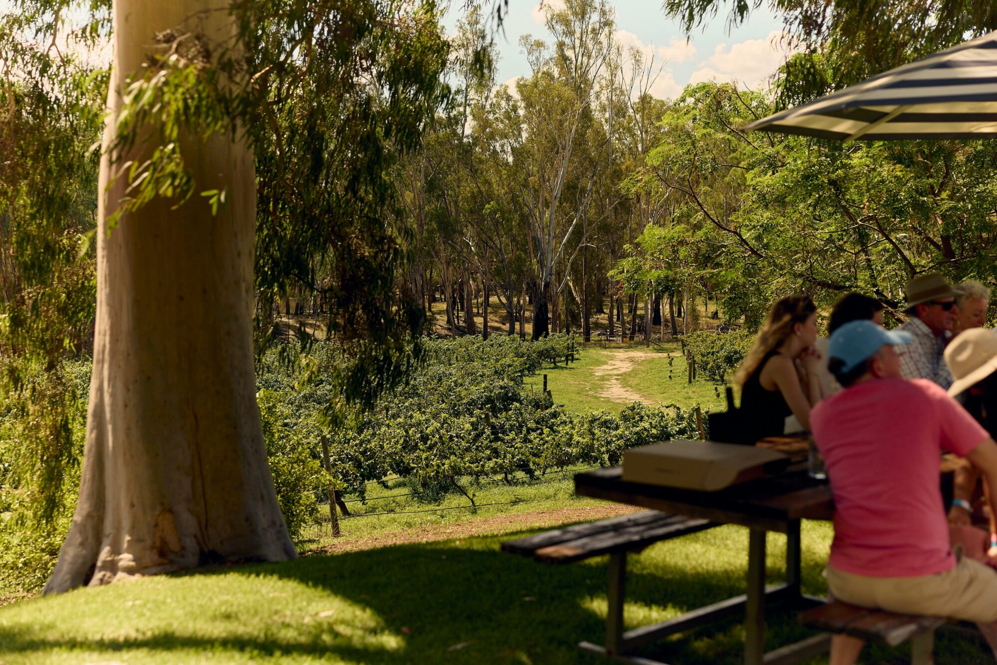 What to do in Rutherglen