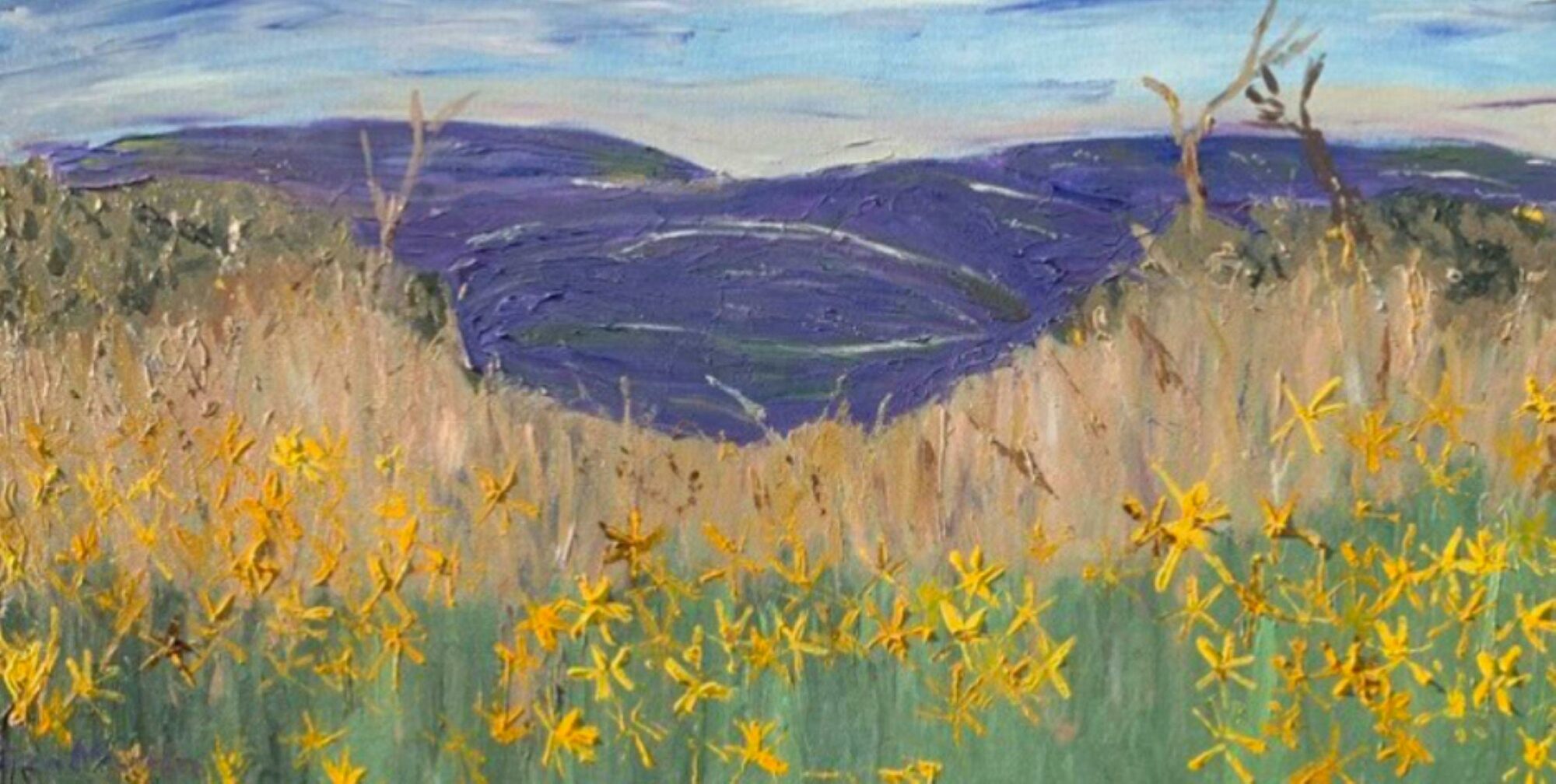 Flowers and mountains