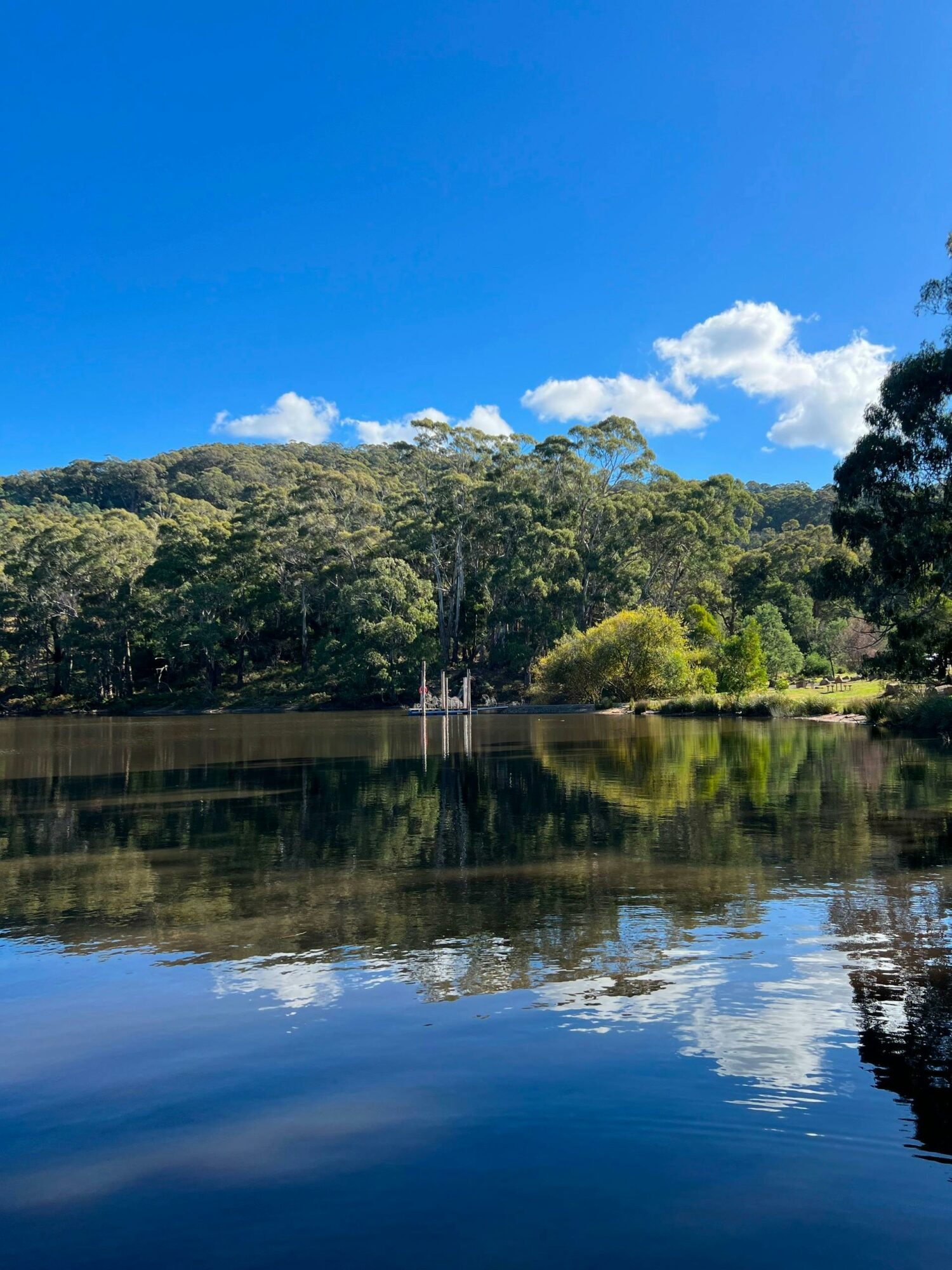 Trawool Reservoir/Gawarn Baring Track in Trawool, Victoria.