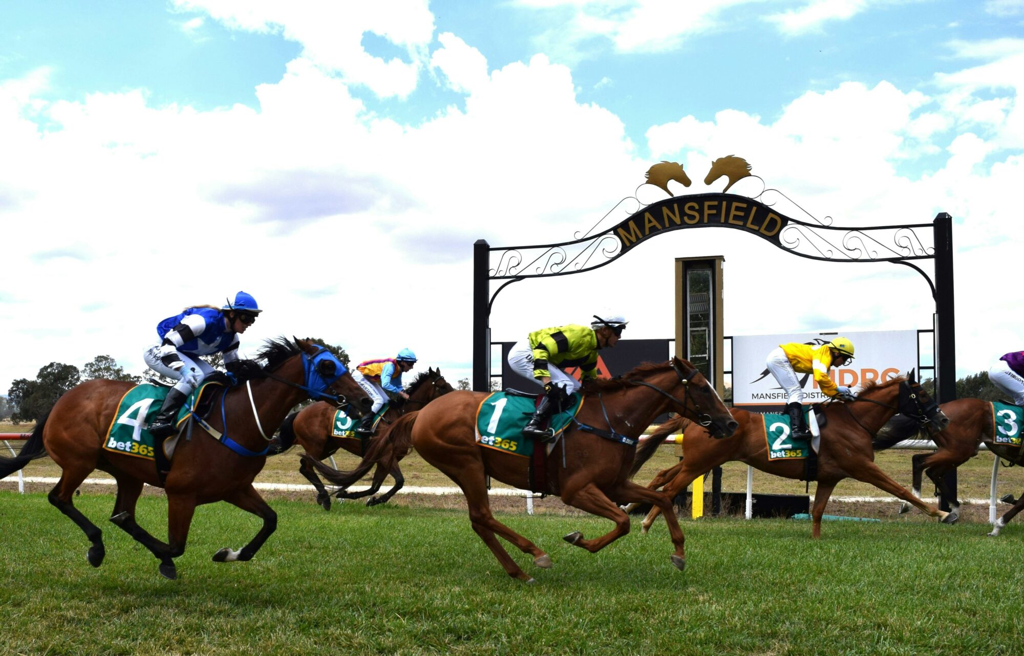 Picnic Racing action
