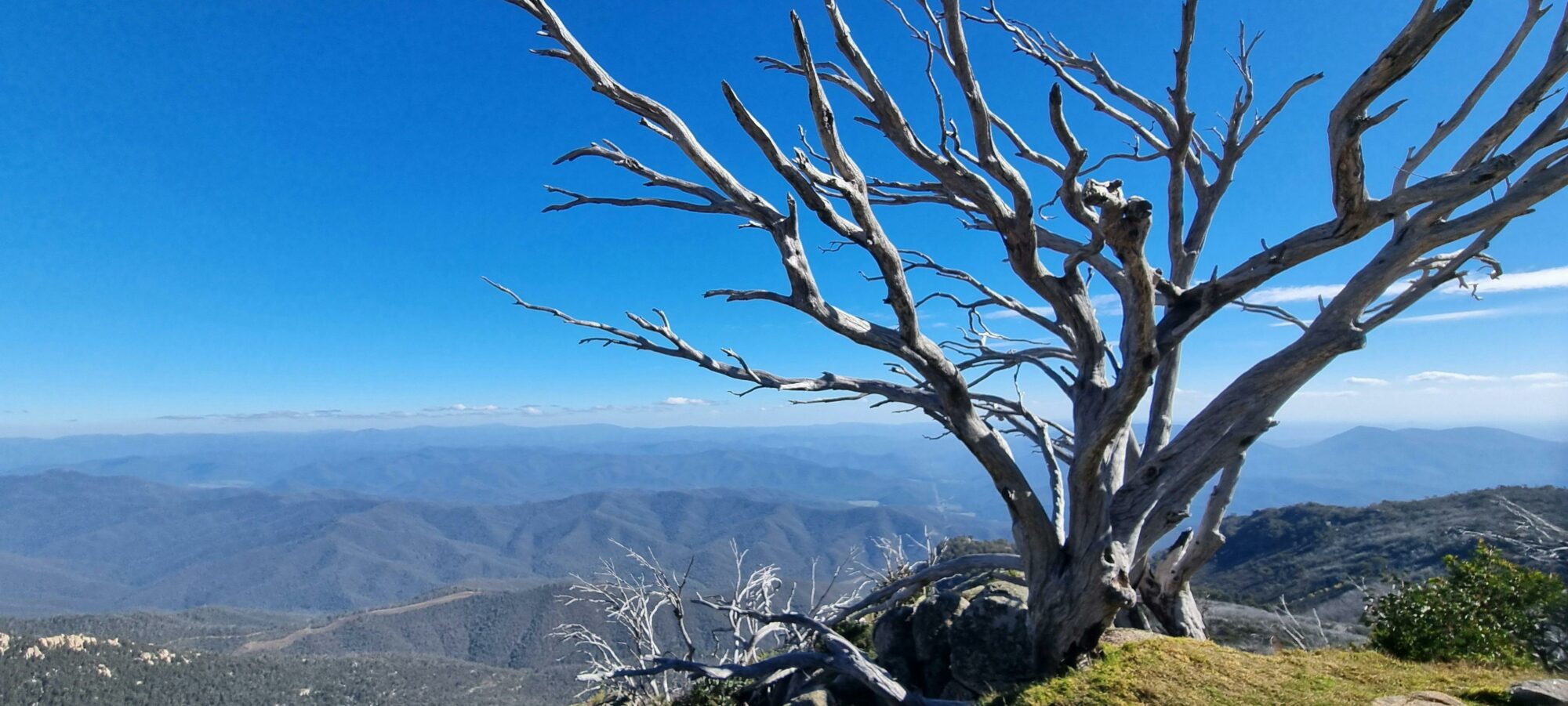 from The Horn, Mount Buffalo, Victoria