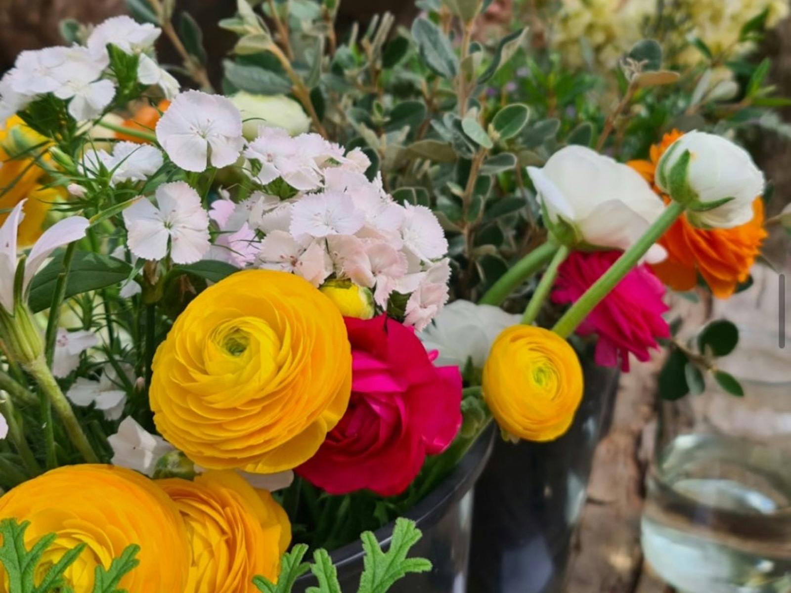 Floral Experience