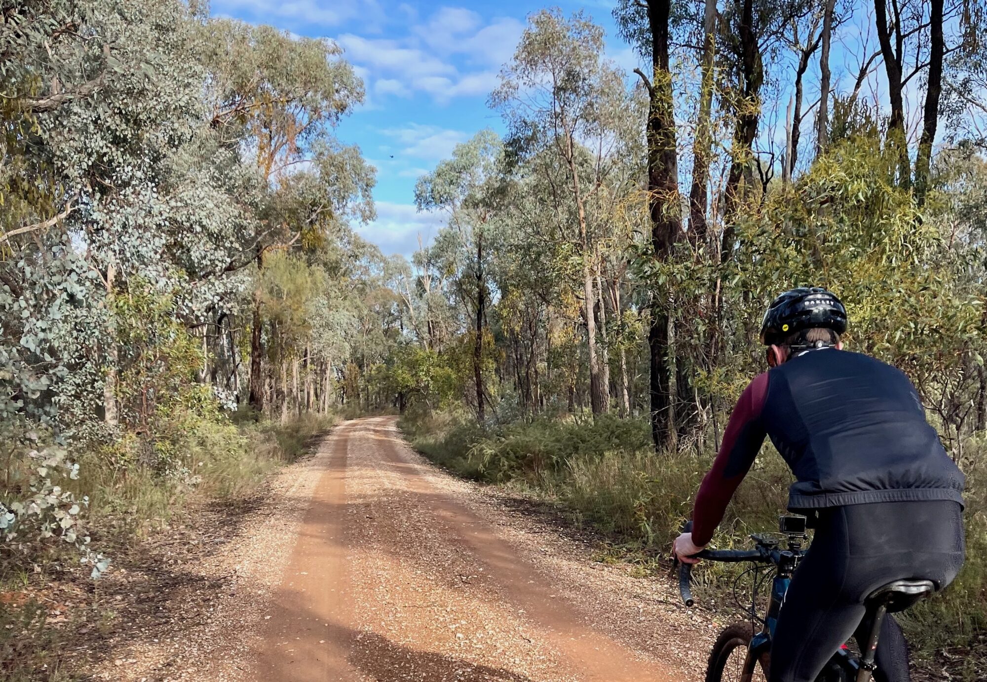 A cyclist riding on a smooth gravel road through native bushland